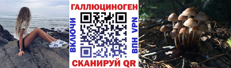 Галлюциногенные грибы Psilocybine cubensis  даркнет сайт  Нарьян-Мар 