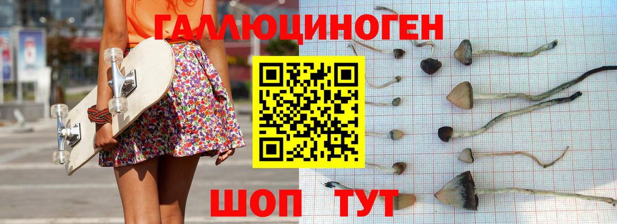 Галлюциногенные грибы мухоморы Нарьян-Мар